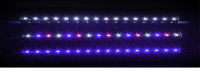 barbus led -17